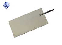 Elektwòd platinum pou ionize dlo