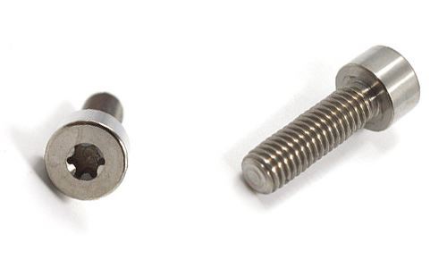 Torx Cheese Head Titanium Screw